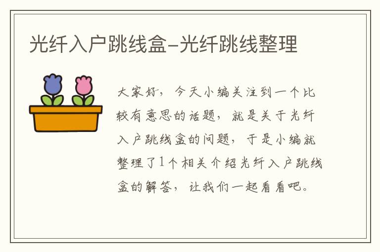 光纤入户跳线盒-光纤跳线整理