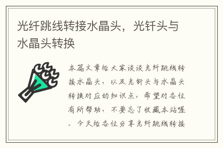 光纤跳线转接水晶头,光钎头与水晶头转换
