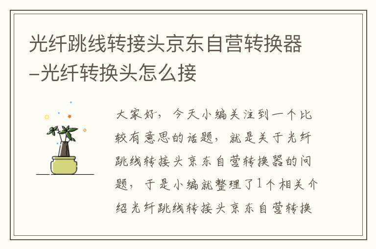光纤跳线转接头京东自营转换器-光纤转换头怎么接