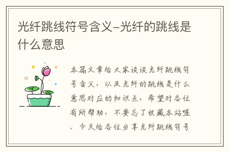 光纤跳线符号含义-光纤的跳线是什么意思