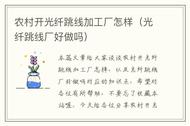 农村开光纤跳线加工厂怎样(光纤跳线厂好做吗)