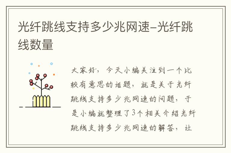 光纤跳线支持多少兆网速-光纤跳线数量
