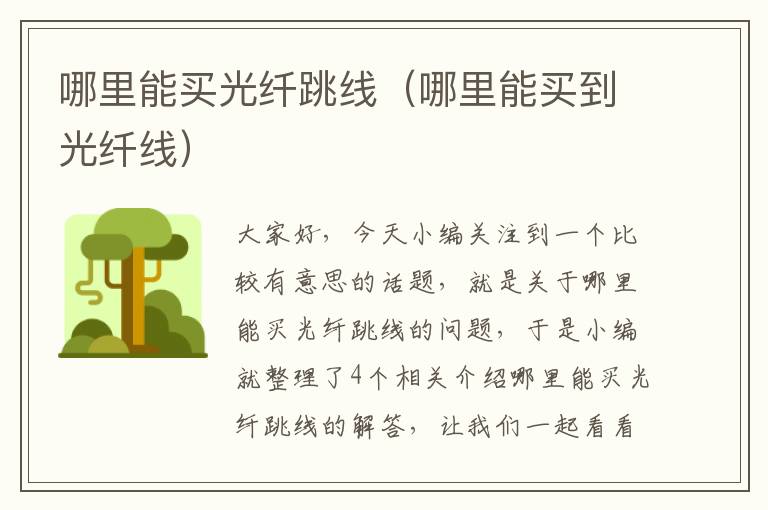哪里能买光纤跳线(哪里能买到光纤线)