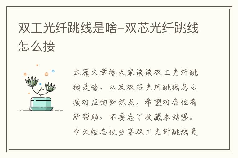 双工光纤跳线是啥-双芯光纤跳线怎么接
