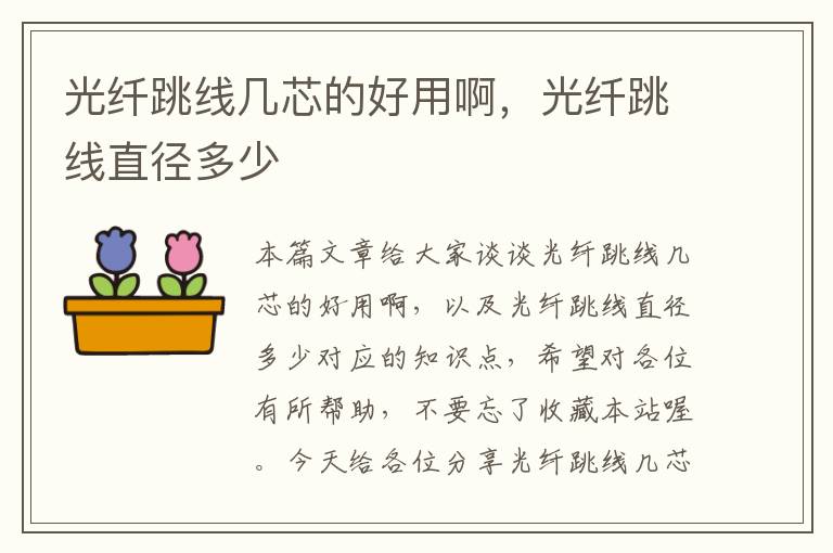 光纤跳线几芯的好用啊,光纤跳线直径多少