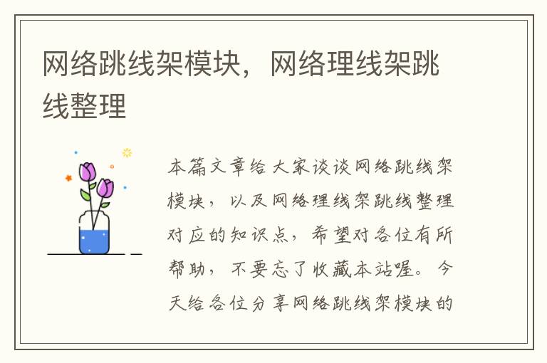 网络跳线架模块,网络理线架跳线整理