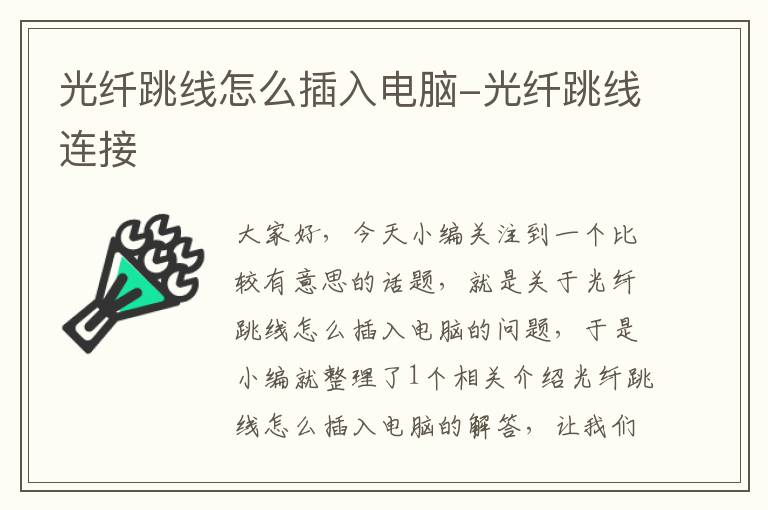 光纤跳线怎么插入电脑-光纤跳线连接