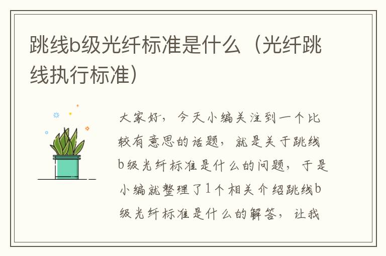 跳线b级光纤标准是什么(光纤跳线执行标准)