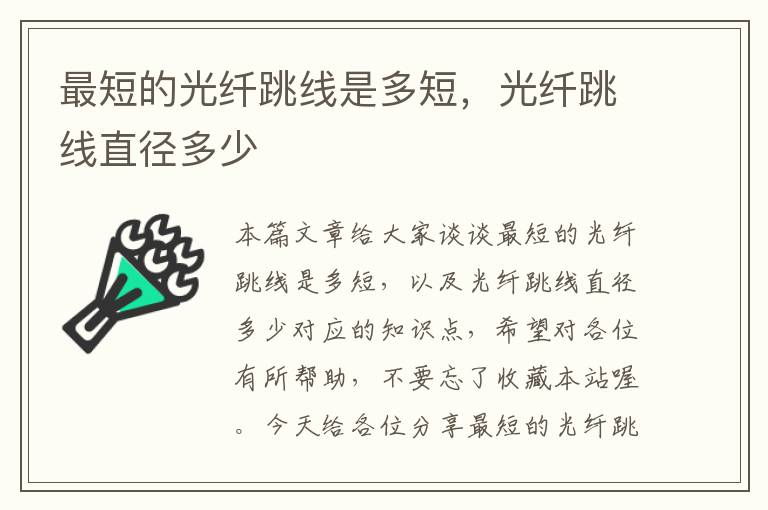 最短的光纤跳线是多短,光纤跳线直径多少