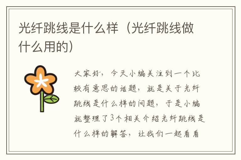 光纤跳线是什么样（光纤跳线做什么用的）