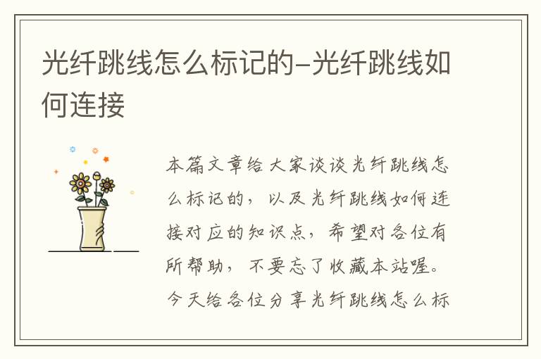 光纤跳线怎么标记的-光纤跳线如何连接