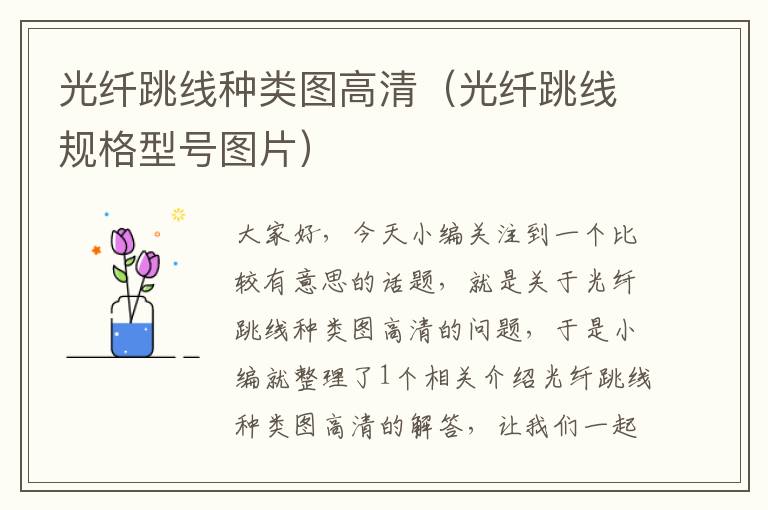 光纤跳线种类图高清(光纤跳线规格型号图片)