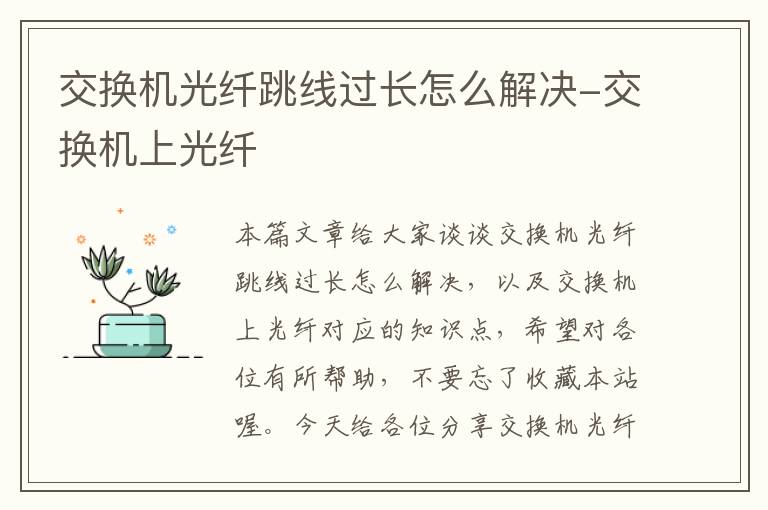 交换机光纤跳线过长怎么解决-交换机上光纤