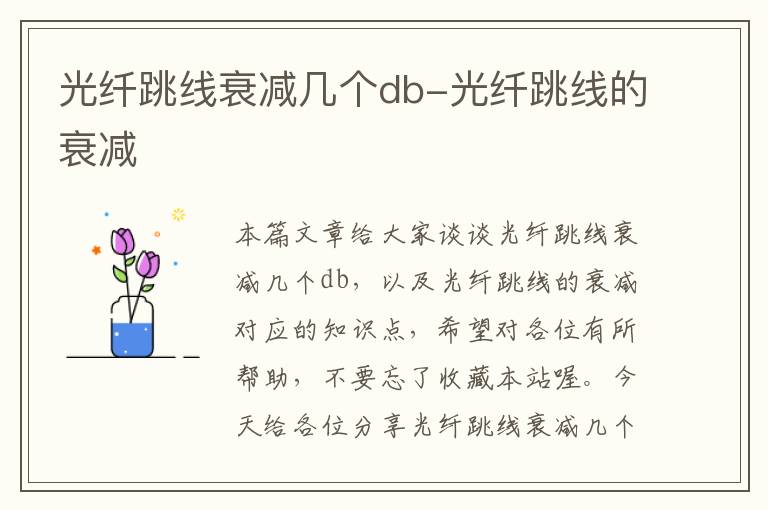 光纤跳线衰减几个db-光纤跳线的衰减