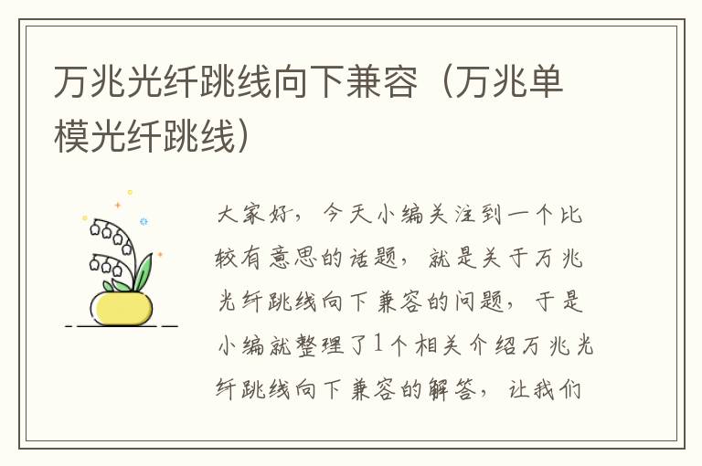 万兆光纤跳线向下兼容(万兆单模光纤跳线)