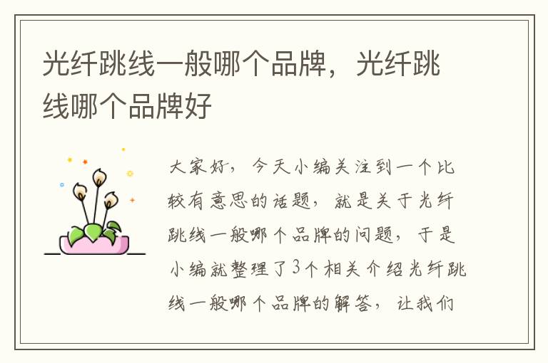 光纤跳线一般哪个品牌,光纤跳线哪个品牌好