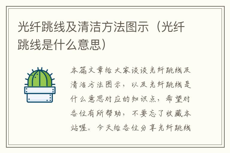 光纤跳线及清洁方法图示(光纤跳线是什么意思)