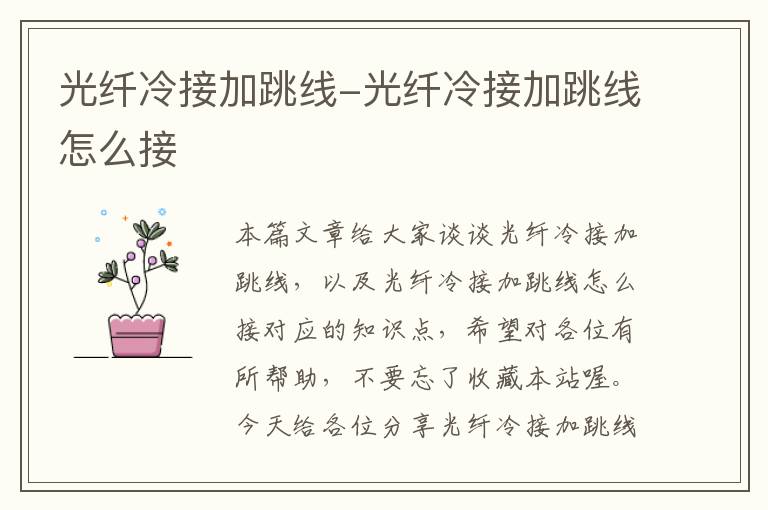 光纤冷接加跳线-光纤冷接加跳线怎么接