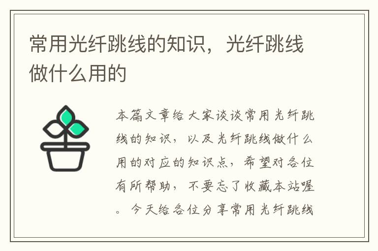 常用光纤跳线的知识,光纤跳线做什么用的