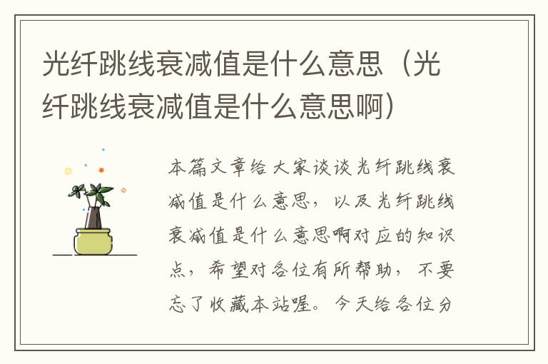 光纤跳线衰减值是什么意思(光纤跳线衰减值是什么意思啊)