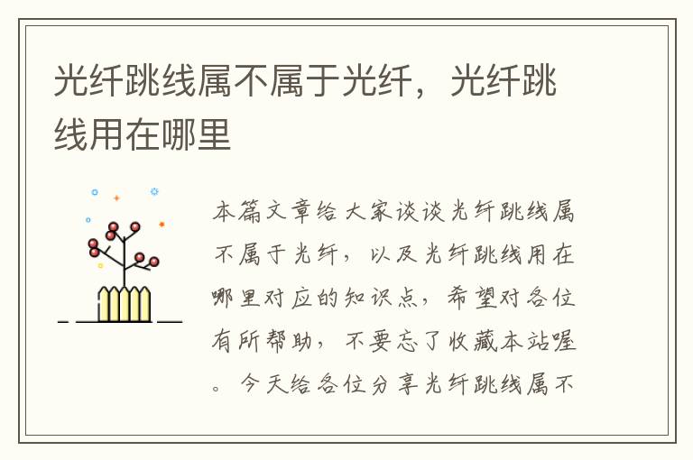 光纤跳线属不属于光纤,光纤跳线用在哪里
