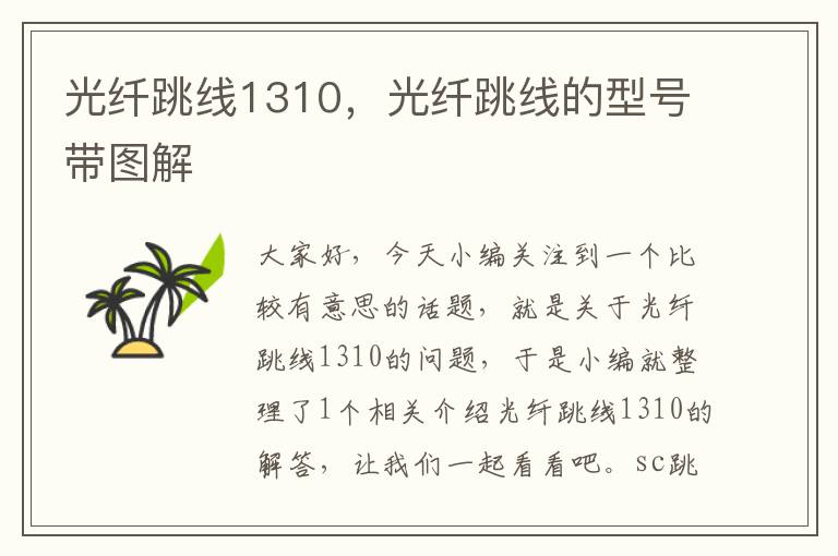光纤跳线1310,光纤跳线的型号带图解