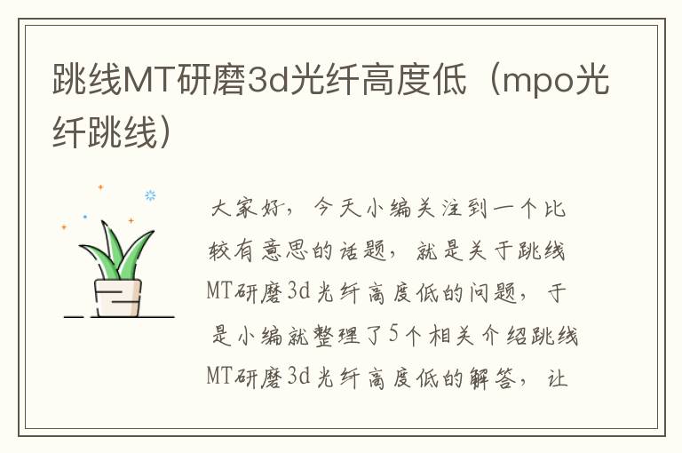 跳线MT研磨3d光纤高度低（mpo光纤跳线）