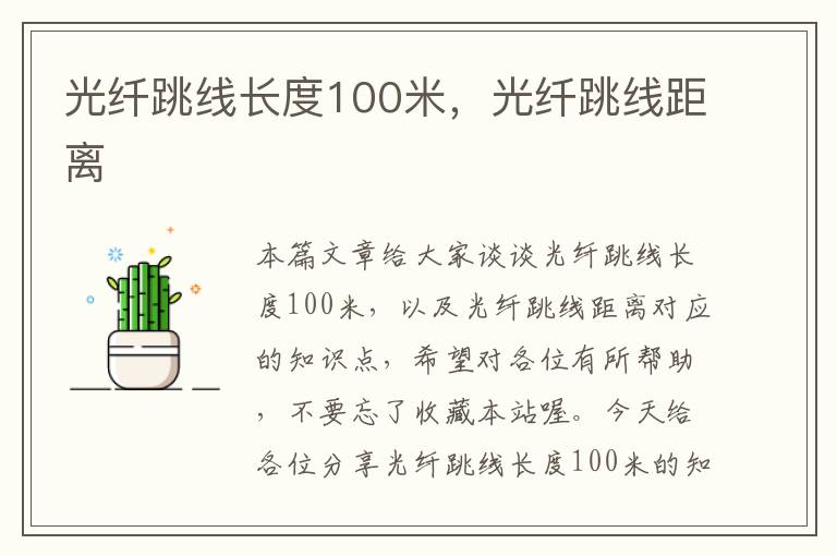 光纤跳线长度100米,光纤跳线距离