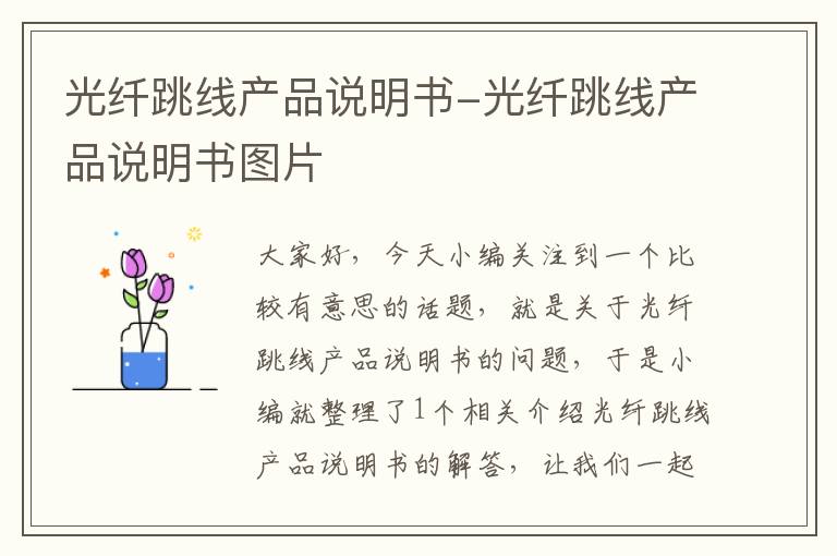 光纤跳线产品说明书-光纤跳线产品说明书图片
