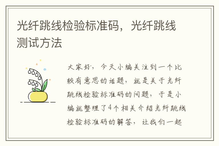光纤跳线检验标准码,光纤跳线测试方法