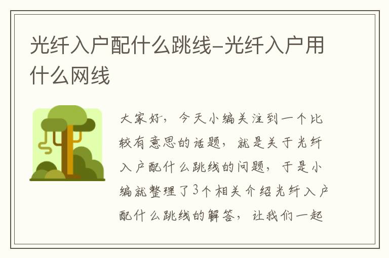 光纤入户配什么跳线-光纤入户用什么网线