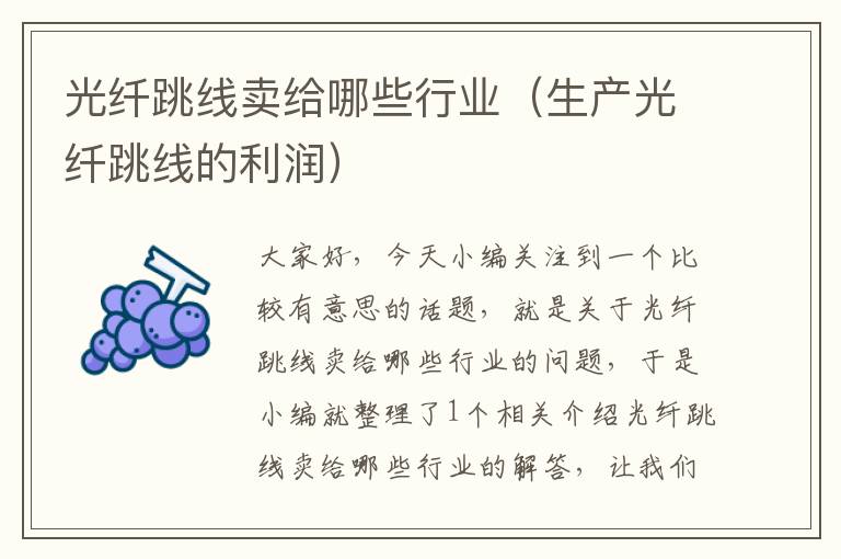 光纤跳线卖给哪些行业(生产光纤跳线的利润)