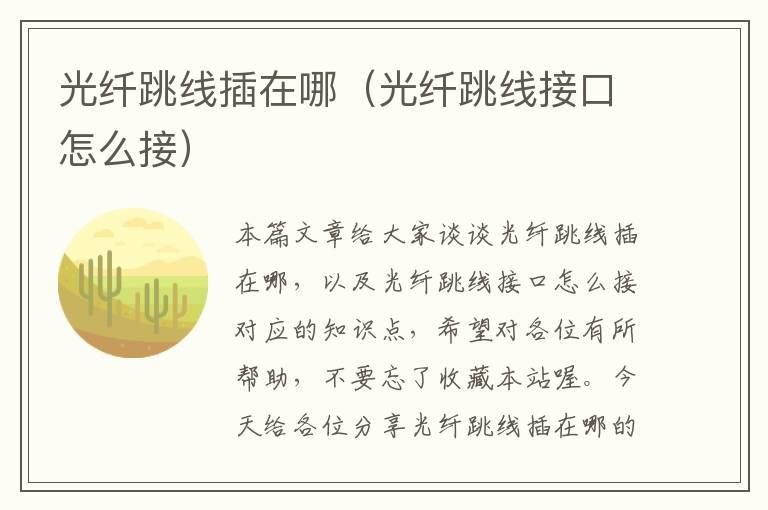 光纤跳线插在哪(光纤跳线接口怎么接)