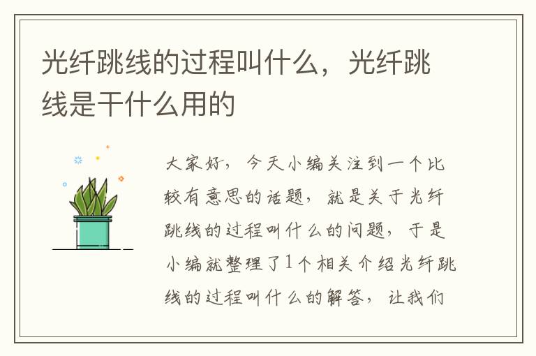 光纤跳线的过程叫什么,光纤跳线是干什么用的