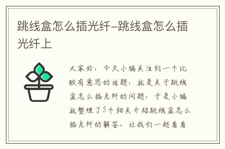 跳线盒怎么插光纤-跳线盒怎么插光纤上