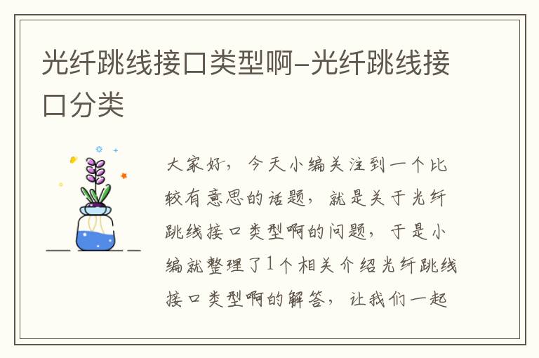 光纤跳线接口类型啊-光纤跳线接口分类
