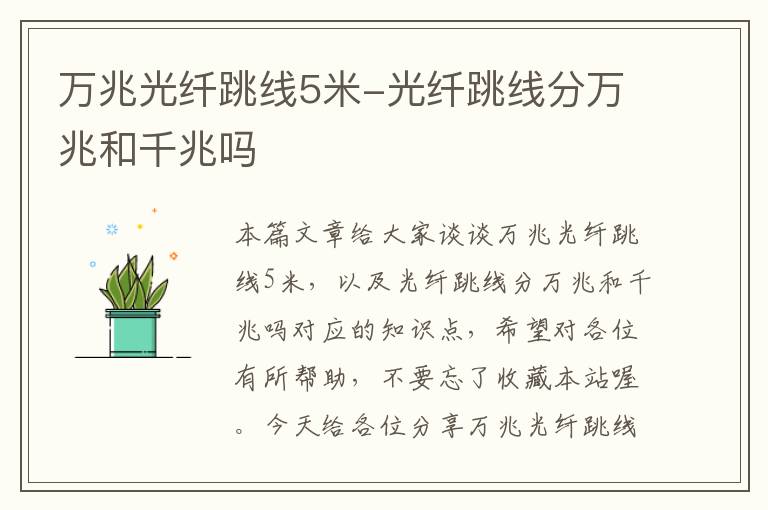 万兆光纤跳线5米-光纤跳线分万兆和千兆吗