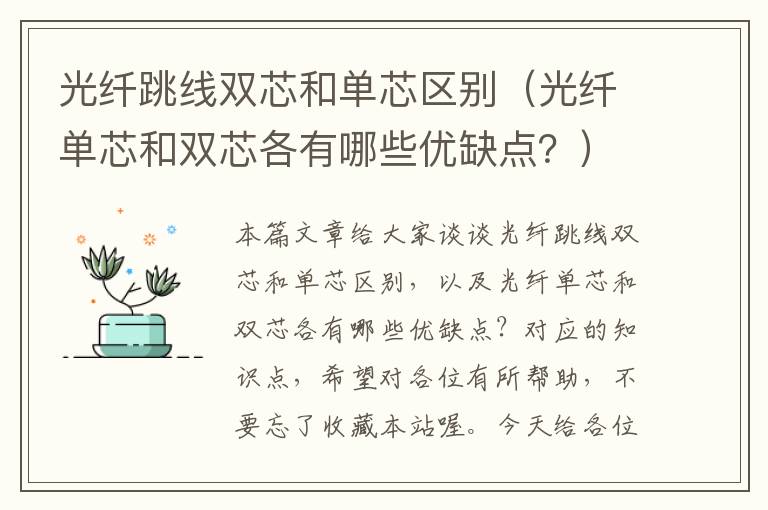 光纤跳线双芯和单芯区别(光纤单芯和双芯各有哪些优缺点?)