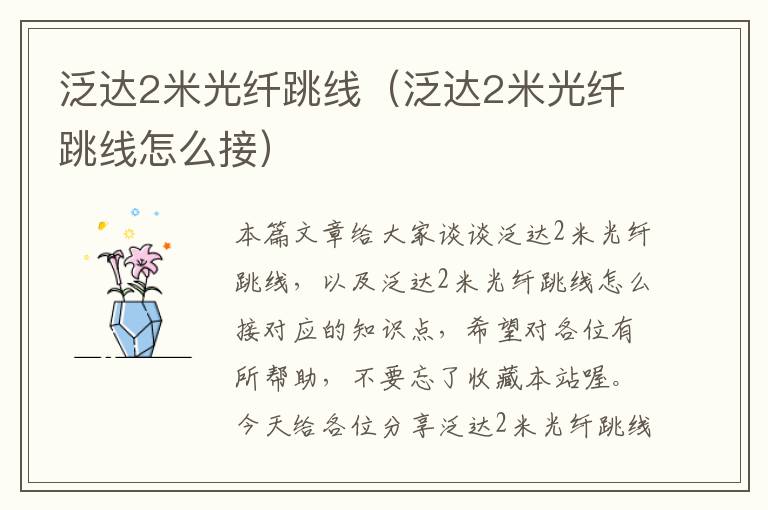 泛达2米光纤跳线(泛达2米光纤跳线怎么接)
