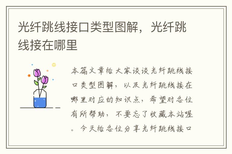 光纤跳线接口类型图解,光纤跳线接在哪里