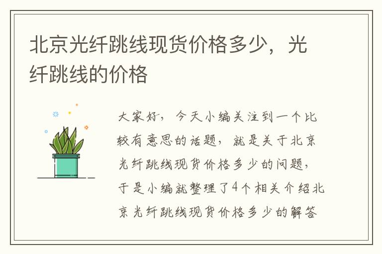 北京光纤跳线现货价格多少,光纤跳线的价格