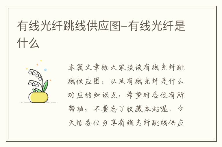 有线光纤跳线供应图-有线光纤是什么