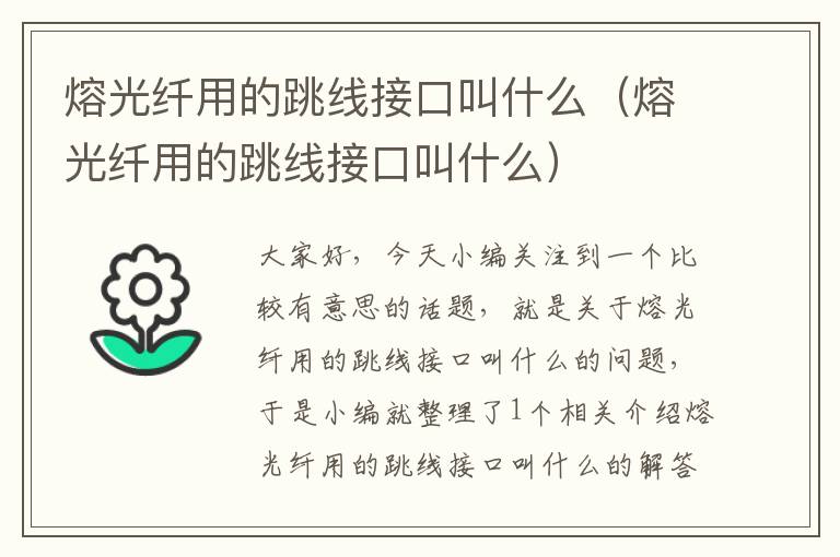 熔光纤用的跳线接口叫什么(熔光纤用的跳线接口叫什么)