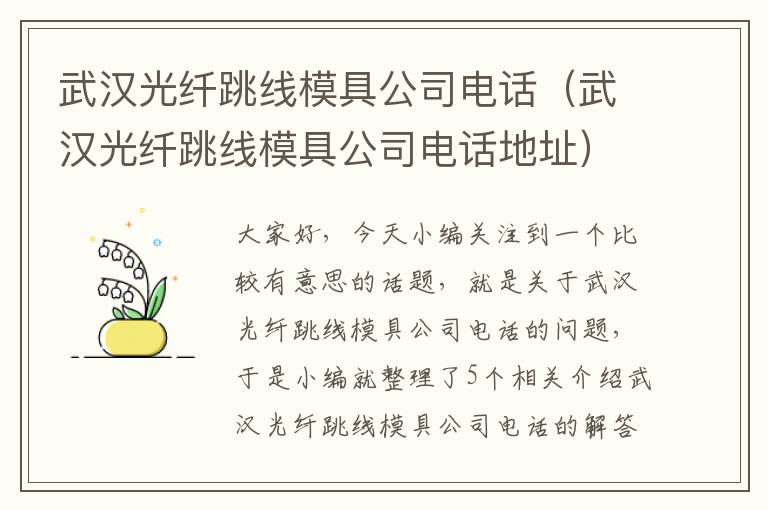 武汉光纤跳线模具公司电话（武汉光纤跳线模具公司电话地址）
