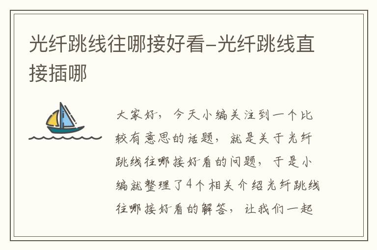 光纤跳线往哪接好看-光纤跳线直接插哪