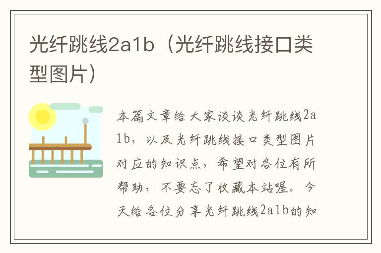 光纤跳线2a1b(光纤跳线接口类型图片)