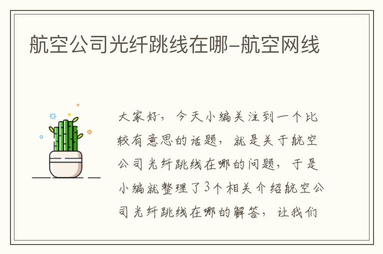 航空公司光纤跳线在哪-航空网线