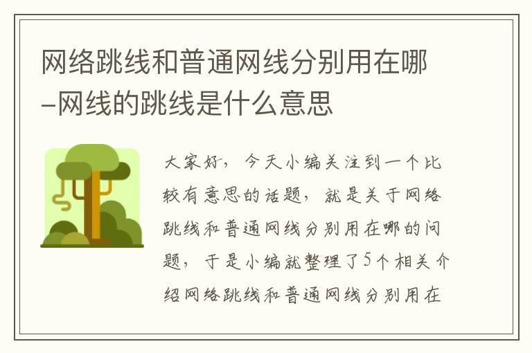 网络跳线和普通网线分别用在哪-网线的跳线是什么意思