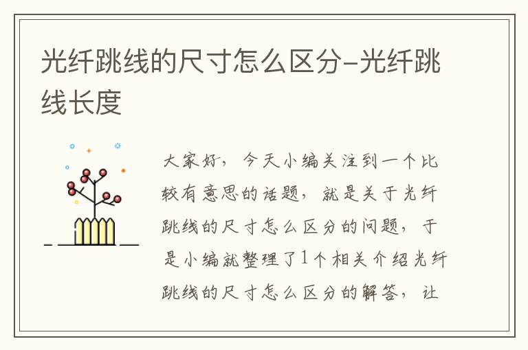 光纤跳线的尺寸怎么区分-光纤跳线长度