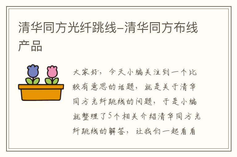 清华同方光纤跳线-清华同方布线产品